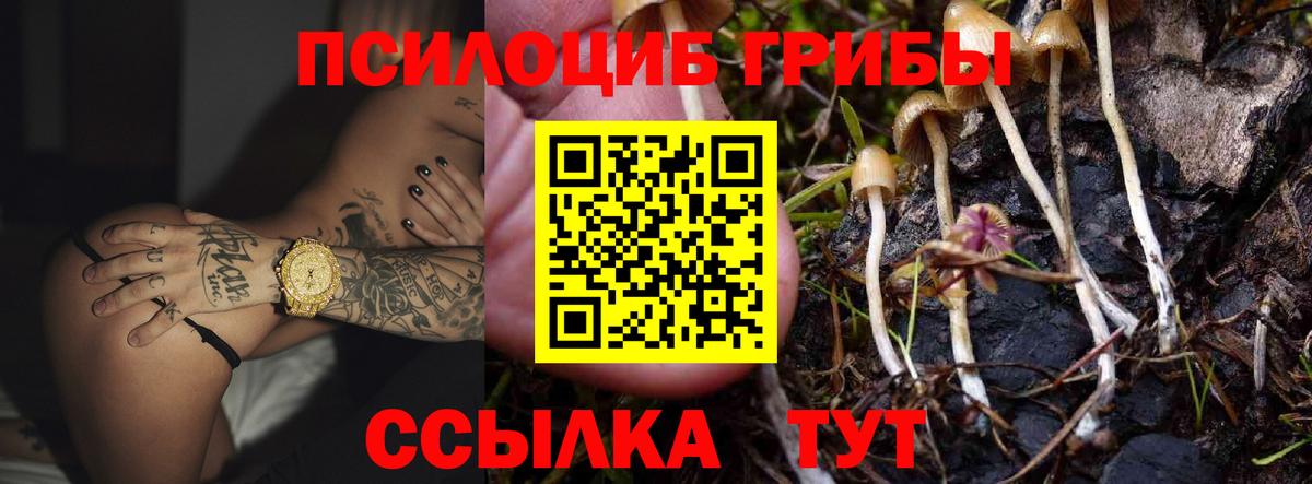 Псилоцибиновые грибы MAGIC MUSHROOMS  Вход с VPN  Щёлково 
